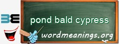 WordMeaning blackboard for pond bald cypress